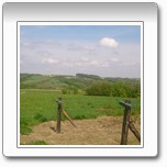 Obraz galerii