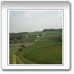 Obraz galerii