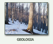 Geologia